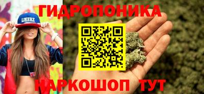 индика Тара